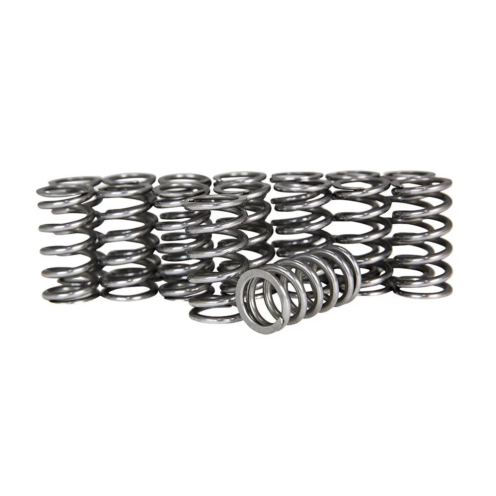 ZZP 1.4 Sonic/Cruze 72# Valve Springs