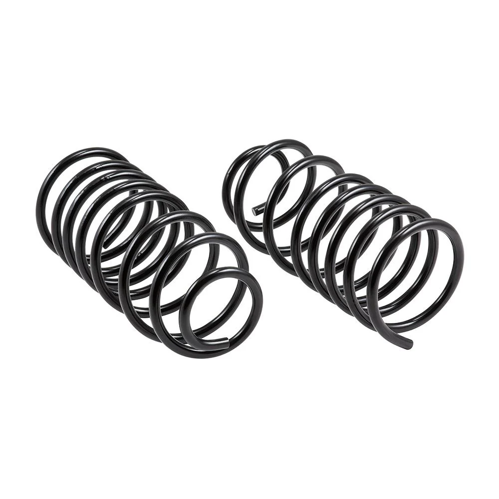 Rear Heightening Springs - Image 2