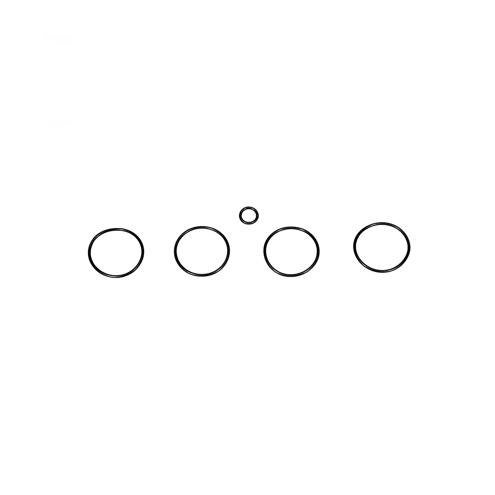 ZZP 1.4 PCV Plate - Replacement O-ring Kit - Image 2